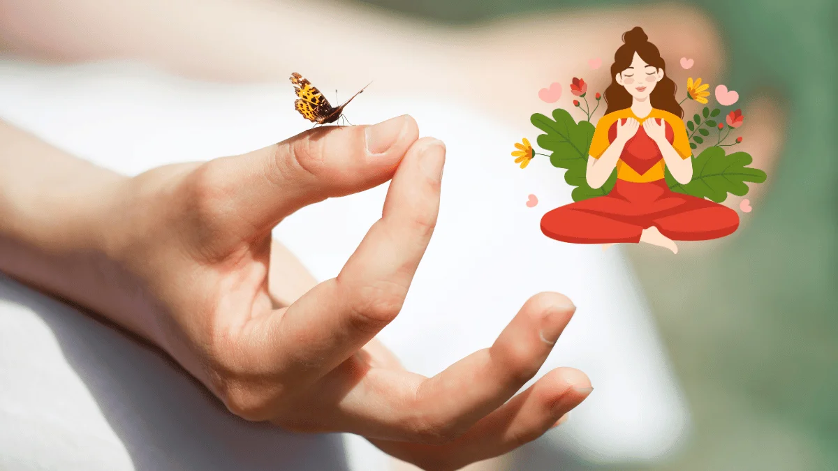 Mindfulness Meditation Guide for Beginners